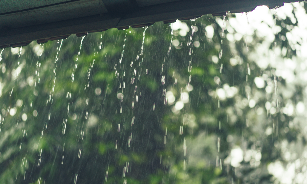 ゲリラ豪雨による雨漏りの被害は主にどこに発生する？