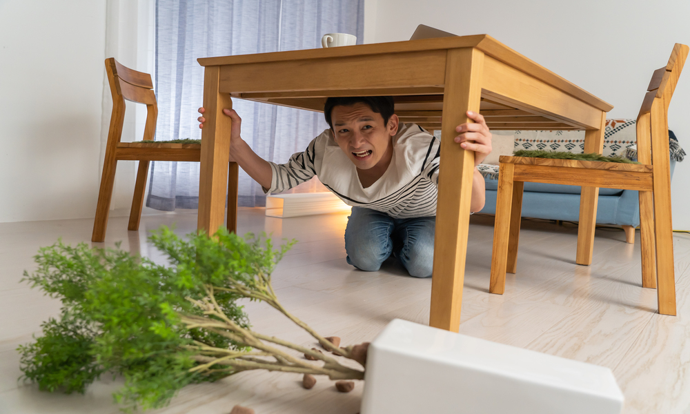 地震、噴火、津波による損害 